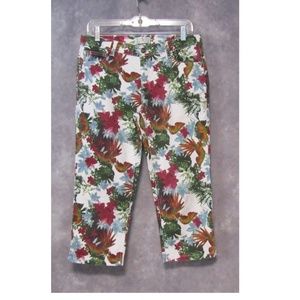 OSO Casuals Blue Burgundy Parrot Floral Capris 8